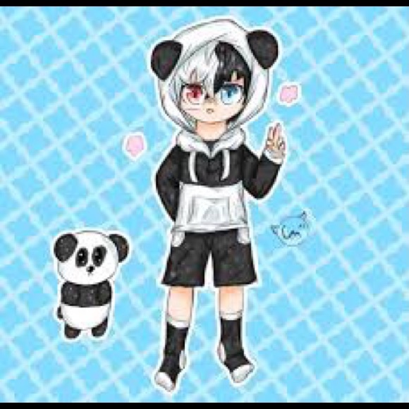 Meet your Posher, Avery - Picture 7 of 8